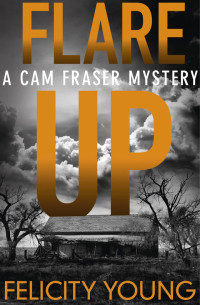 Felicity Young — Flare-up: a tense, taut mystery (A Cam Fraser mystery)