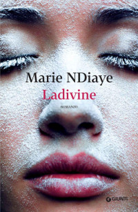 Marie NDiaye — Ladivine