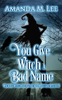 Amanda M. Lee — You Give Witch a Bad Name: Wicked Witches of the Midwest Shorts 11-15