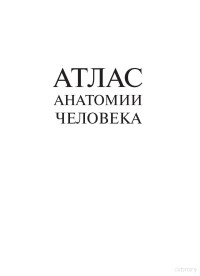 Синельников Р.Д. — Атлас анатомии человека. Том 3. Учение о сосудах и лимфоидных органах