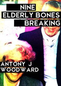 Antony J Woodward — Nine Elderly Bones Breaking (Terry Logan Book 2)