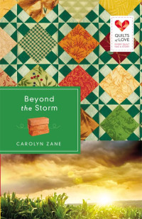 Carolyn Zane — Beyond the Storm (Quilts of Love)