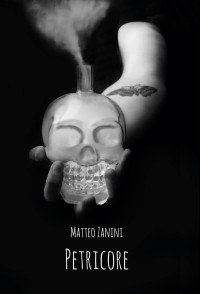 Matteo Zanini — Petricore (Italian Edition) nodrm