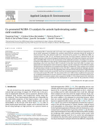 Yongxing Yang & Cristina Ochoa-Hernández & Patricia Pizarro & Víctor A. de la Peña O’shea & Juan M. Coronado & David P. Serrano — Ce-promoted Ni/SBA-15 catalysts for anisole hydrotreating under mild conditions