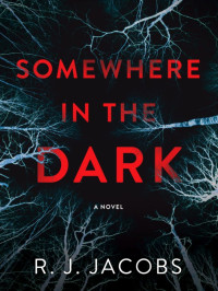 R J Jacobs — Somewhere in the Dark