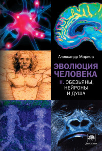 Александр Владимирович Марков — Эволюция человека. Книга II. Обезьяны, нейроны и душа