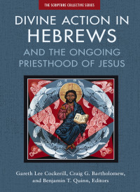 Zondervan;Gareth Lee Cockerill;Craig Bartholomew;Benjamin T. Quinn; & Craig G. Bartholomew & Benjamin T. Quinn — Divine Action in Hebrews