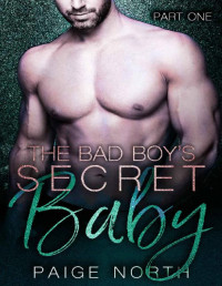 Paige North — The Bad Boy's Secret Baby (Part One)