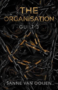 Sanne van Ooijen — 3 - The Organisation: Guilt