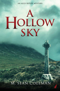 M. Sean Coleman [Coleman, M. Sean] — A Hollow Sky