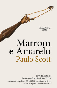 Paulo Scott — Marrom e amarelo