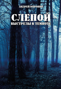 Андрей Николаевич Воронин — Слепой. Выстрелы в темноте