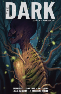 Sean Wallace ed — The Dark Issue 20