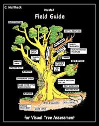 Claus Mattheck — Updated Field Guide for Visual Tree Assessment