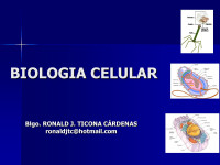 Ronald — Celula