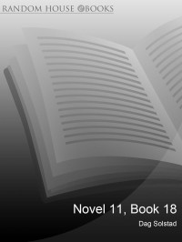 Dag Solstad — Novel 11, Book 18