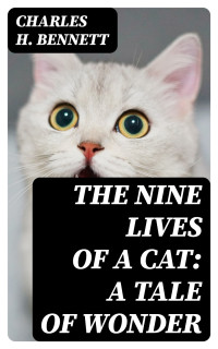 Charles H. Bennett — The Nine Lives of A Cat: A Tale of Wonder