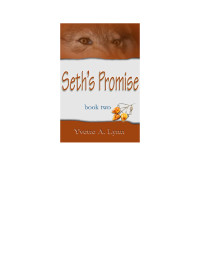 Yvette Lynn — Seth’s Promise