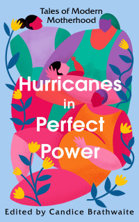 Various — Hurricanes in Perfect Power