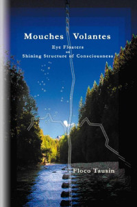 Floco Tausin — Mouches Volantes - Eye Floaters as Shining Structure of Consciousness