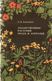 Анатолий Васильевич Епанчинов — Лекарственные растения Урала и Зауралья