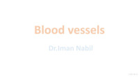 Iman Nabil — Blood vessels