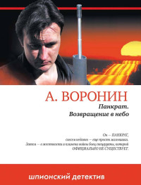 Андрей Николаевич Воронин — Панкрат. Возвращение в небо