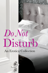 Rachel Kramer Bussel — Do Not Disturb