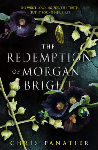 Chris Panatier — The Redemption of Morgan Bright