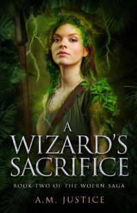 Amanda Justice — A Wizard's Sacrifice
