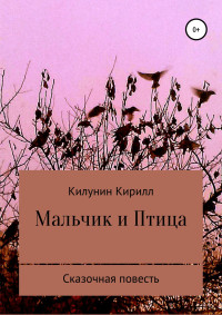 Кирилл Борисович Килунин — Мальчик и Птица