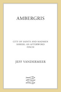 Jeff VanderMeer — Ambergris