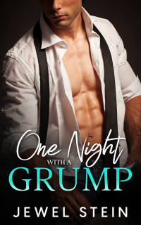 Jewel Stein — One Night With A Grump: An Age Gap Single Dad Billionaire Romance