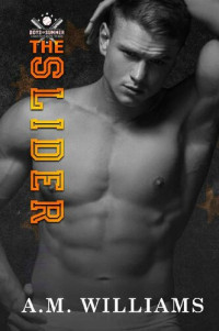 A.M. Williams — The Slider (Boys of Summer Book 5)