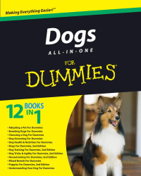 Consumer Dummies — Dogs All-In-One for Dummies