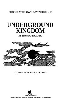 Edward Packard & Anthony Kramer — Underground kingdom