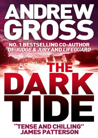 Andrew Gross — The Dark Tide