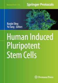 Baojin Ding, Yu Tang — Human Induced Pluripotent Stem Cells