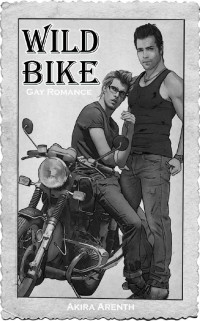 Akira Arenth — Wild Bike: 30s Gay Romance (Three GayStorys Bundle 2) (German Edition)