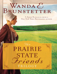 Wanda E. Brunstetter — The Prairie State Friends Trilogy