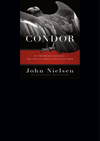 John Nielsen — Condor