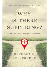 Bethany N. Sollereder; — Why Is There Suffering?