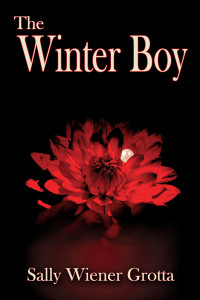 Sally Wiener Grotta — The Winter Boy