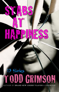 Todd Grimson — Stabs at Happiness