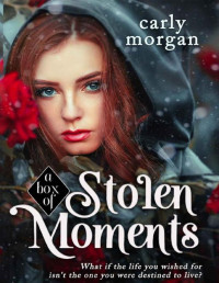 Carly Morgan — A Box of Stolen Moments (A Fae and His Human Book 1)