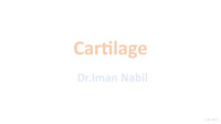Imam Nabil — Cartilage