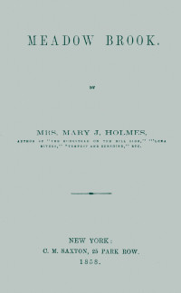 Mary Jane Holmes — Meadow Brook