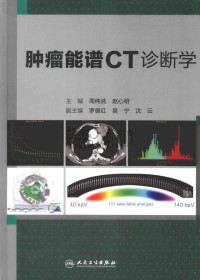 周纯武，赵心明 — 肿瘤能谱CT诊断学_周纯武，赵心明主编_2016年