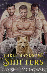 Casey Morgan — Three Handsome Shifters