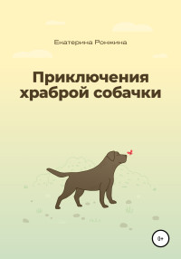 Екатерина Ронжина — Приключения храброй собачки